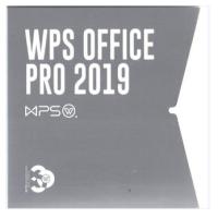 金山办公/KINGSOFTOFFICE WPS Office 2019 专业版 专业增强版/办公套件